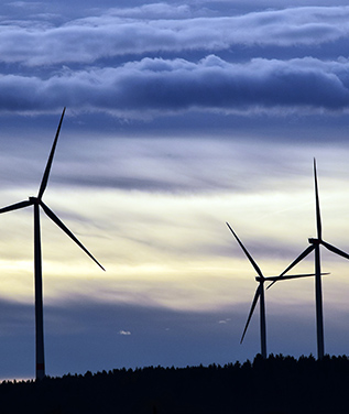 welcome大发系统-追求康健,你我一起生长