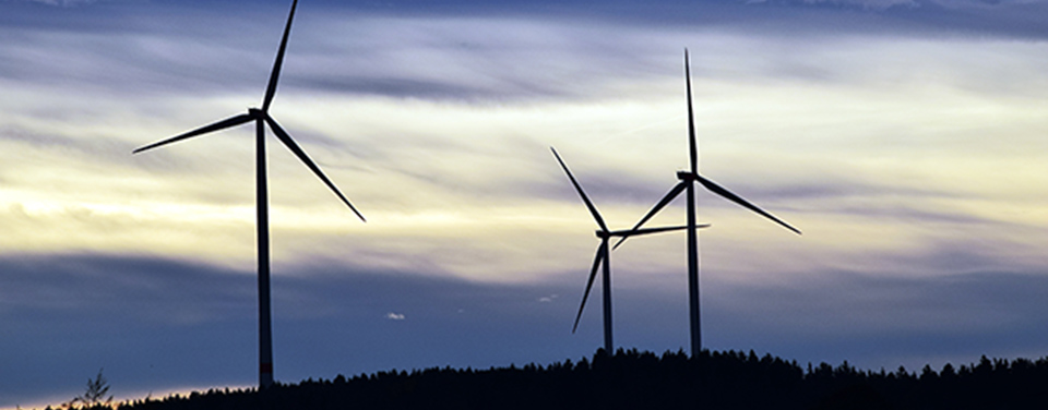 welcome大发系统-追求康健,你我一起生长