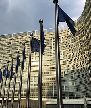 welcome大发系统-追求康健,你我一起生长