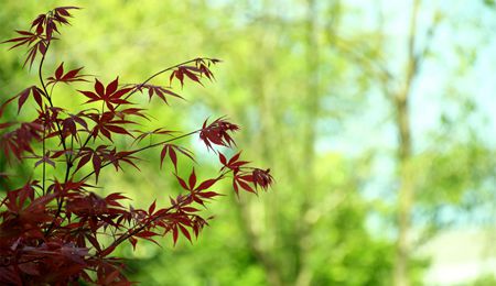 welcome大发系统-追求康健,你我一起生长