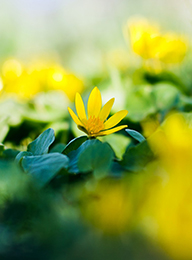 welcome大发系统-追求康健,你我一起生长