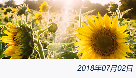 welcome大发系统-追求康健,你我一起生长