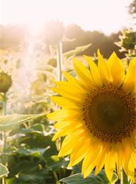 welcome大发系统-追求康健,你我一起生长