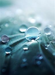 welcome大发系统-追求康健,你我一起生长