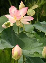 welcome大发系统-追求康健,你我一起生长