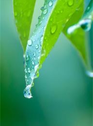 welcome大发系统-追求康健,你我一起生长