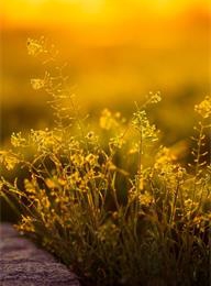 welcome大发系统-追求康健,你我一起生长