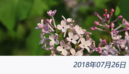 welcome大发系统-追求康健,你我一起生长