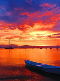 welcome大发系统-追求康健,你我一起生长