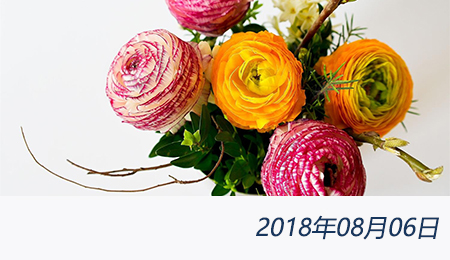 welcome大发系统-追求康健,你我一起生长