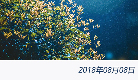 welcome大发系统-追求康健,你我一起生长