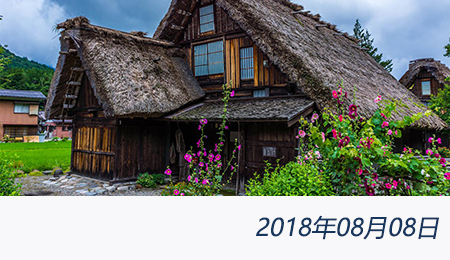 welcome大发系统-追求康健,你我一起生长