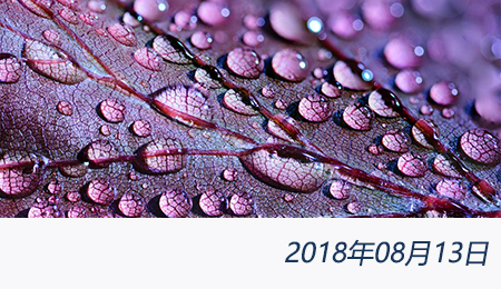 welcome大发系统-追求康健,你我一起生长