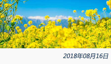 welcome大发系统-追求康健,你我一起生长