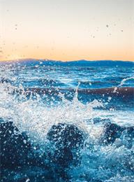 welcome大发系统-追求康健,你我一起生长