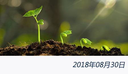 welcome大发系统-追求康健,你我一起生长