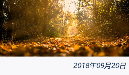 welcome大发系统-追求康健,你我一起生长