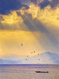 welcome大发系统-追求康健,你我一起生长