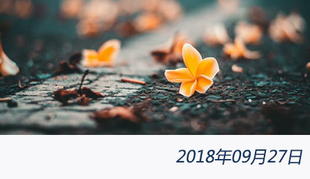 welcome大发系统-追求康健,你我一起生长