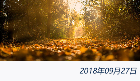 welcome大发系统-追求康健,你我一起生长