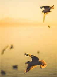 welcome大发系统-追求康健,你我一起生长