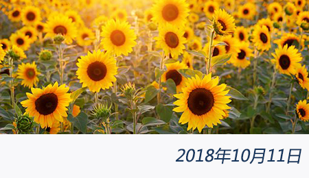 welcome大发系统-追求康健,你我一起生长