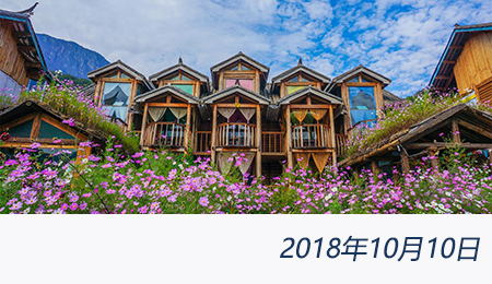 welcome大发系统-追求康健,你我一起生长