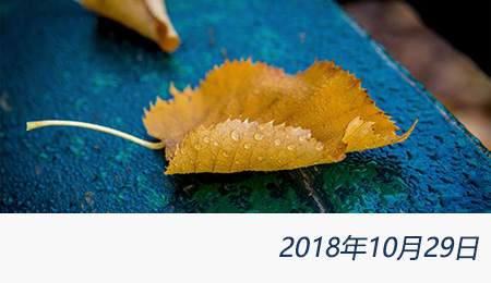 welcome大发系统-追求康健,你我一起生长