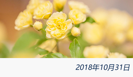 welcome大发系统-追求康健,你我一起生长