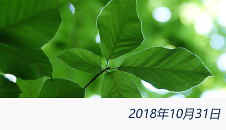 welcome大发系统-追求康健,你我一起生长