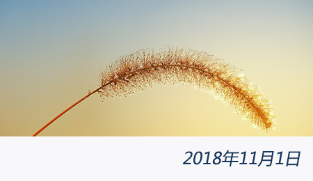 welcome大发系统-追求康健,你我一起生长