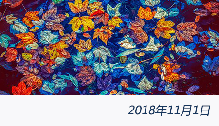 welcome大发系统-追求康健,你我一起生长