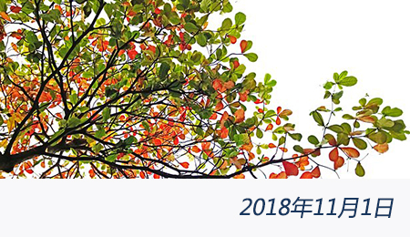 welcome大发系统-追求康健,你我一起生长