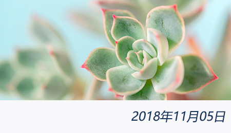 welcome大发系统-追求康健,你我一起生长