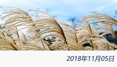 welcome大发系统-追求康健,你我一起生长