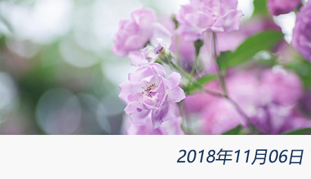 welcome大发系统-追求康健,你我一起生长