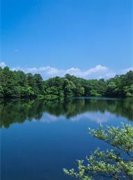 welcome大发系统-追求康健,你我一起生长