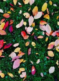 welcome大发系统-追求康健,你我一起生长