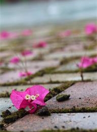 welcome大发系统-追求康健,你我一起生长