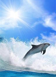 welcome大发系统-追求康健,你我一起生长