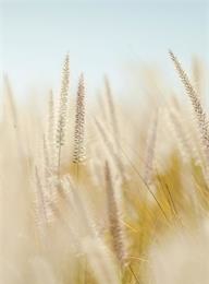 welcome大发系统-追求康健,你我一起生长