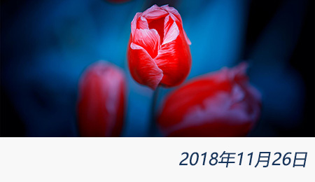 welcome大发系统-追求康健,你我一起生长