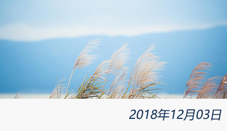 welcome大发系统-追求康健,你我一起生长