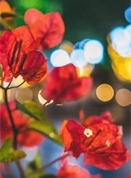 welcome大发系统-追求康健,你我一起生长