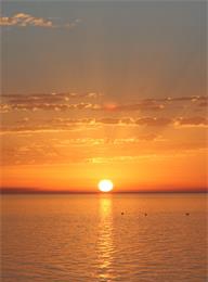 welcome大发系统-追求康健,你我一起生长