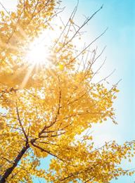 welcome大发系统-追求康健,你我一起生长