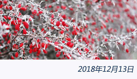 welcome大发系统-追求康健,你我一起生长