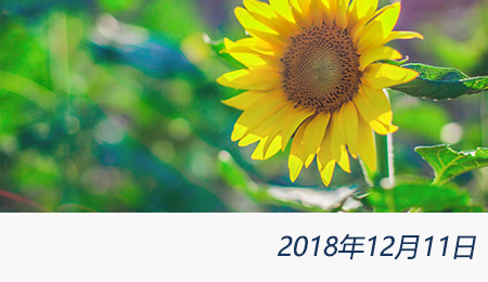 welcome大发系统-追求康健,你我一起生长