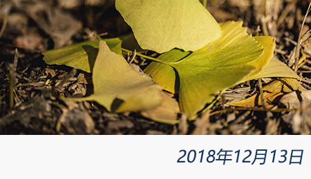 welcome大发系统-追求康健,你我一起生长