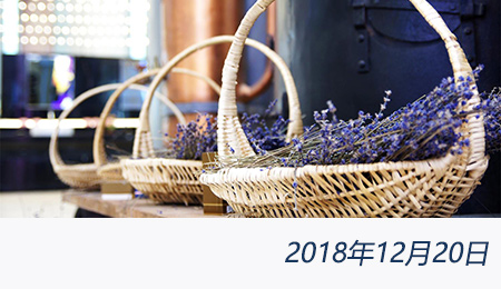 welcome大发系统-追求康健,你我一起生长